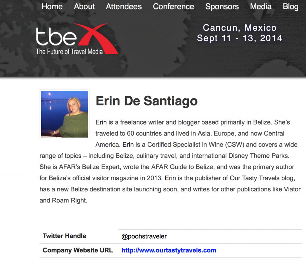 Erin De Santiago Speaker Profile TBEX Cancun
